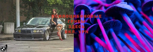 МДПВ Осташков