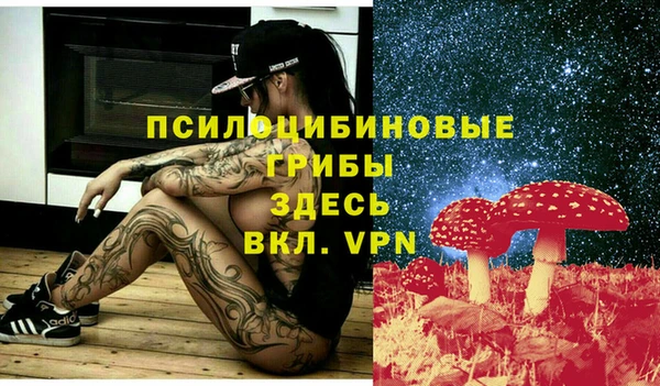 меф Осинники