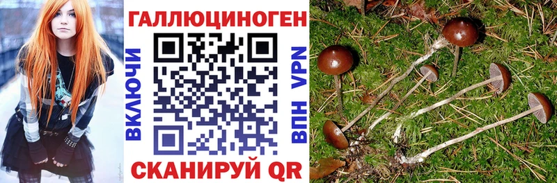 Галлюциногенные грибы ЛСД  Котово 