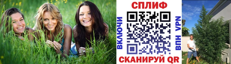 Бошки Шишки MAZAR  продажа наркотиков  Котово 